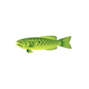 Spotted Greenfish